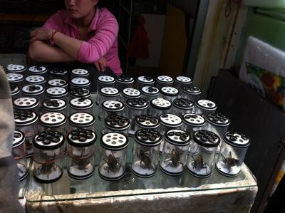 Tiermarkt 3 Tiermarkt 3